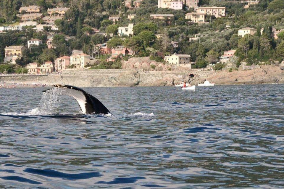 Casa Vacanza Angela Villa Bonassola Exteriör bild